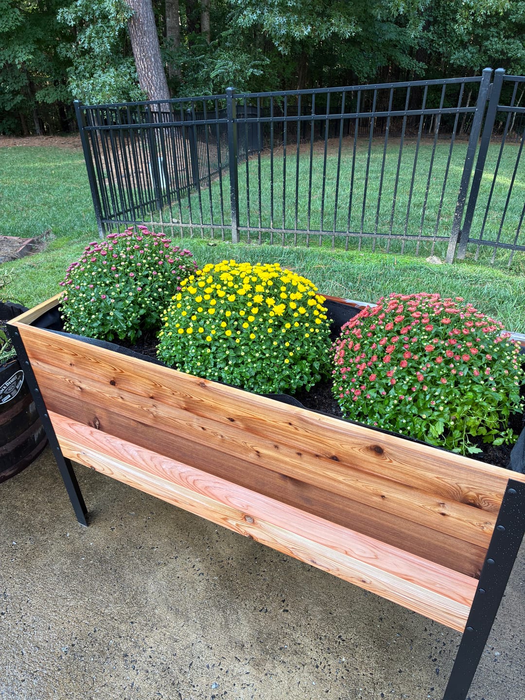 Customer photo review of 18″ x 48″ Deep Root Raised Garden Bed - 30″ TALL - Select Grade
