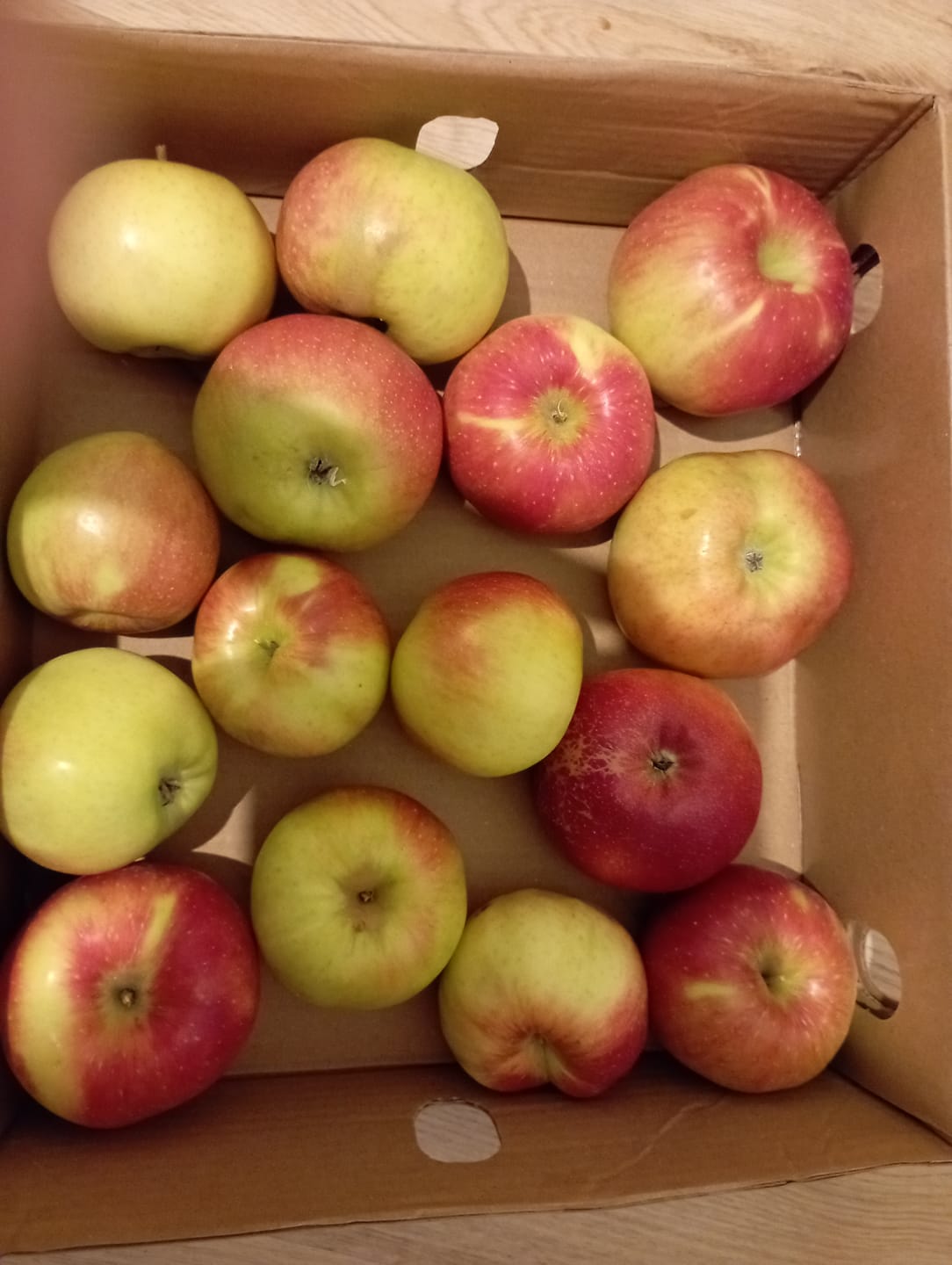 Customer photo review of Apfel "Santana" Bio (allergikerfreundlich) regional vom Obstgut Erletz am Bodensee