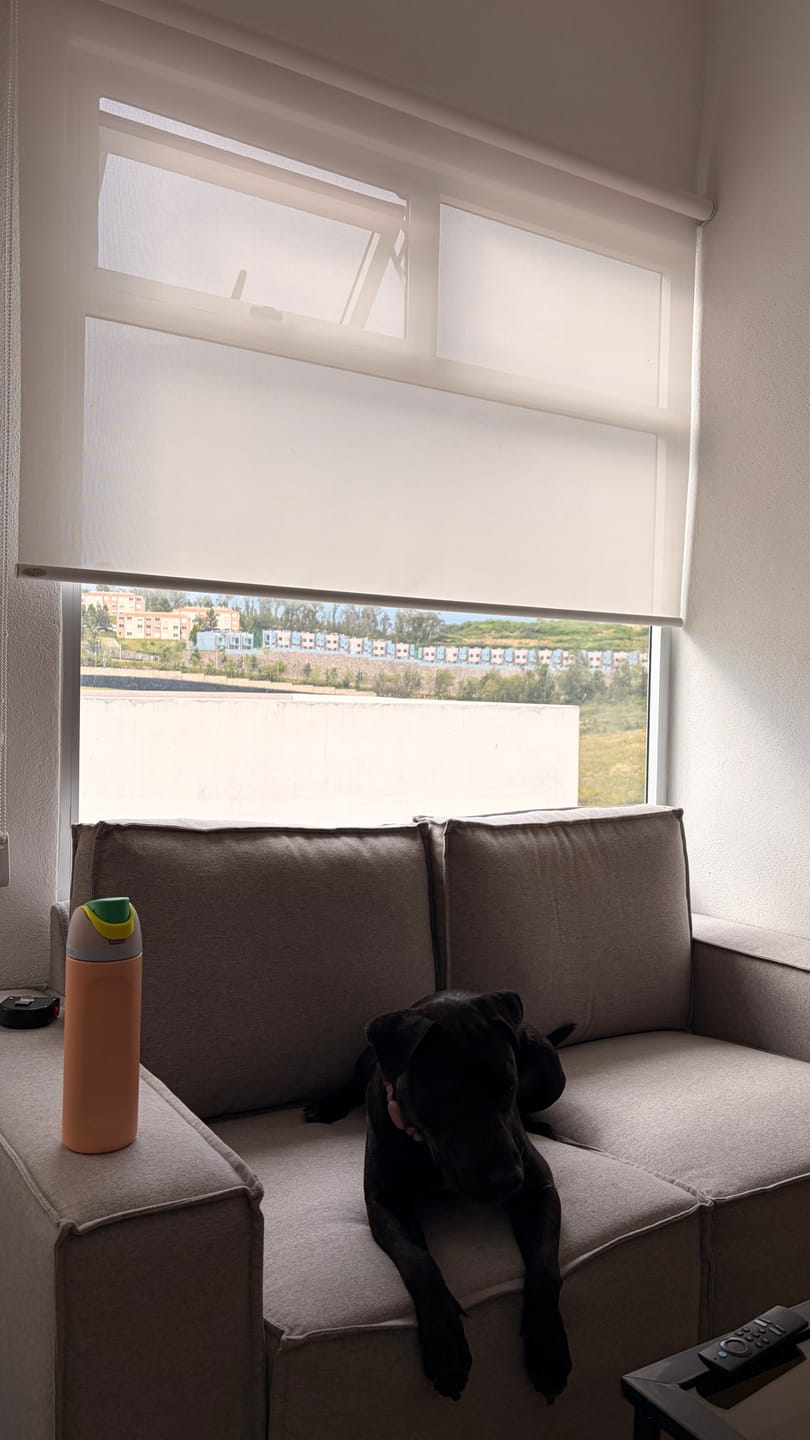 Customer photo review of Sofá Lund 2 Plazas