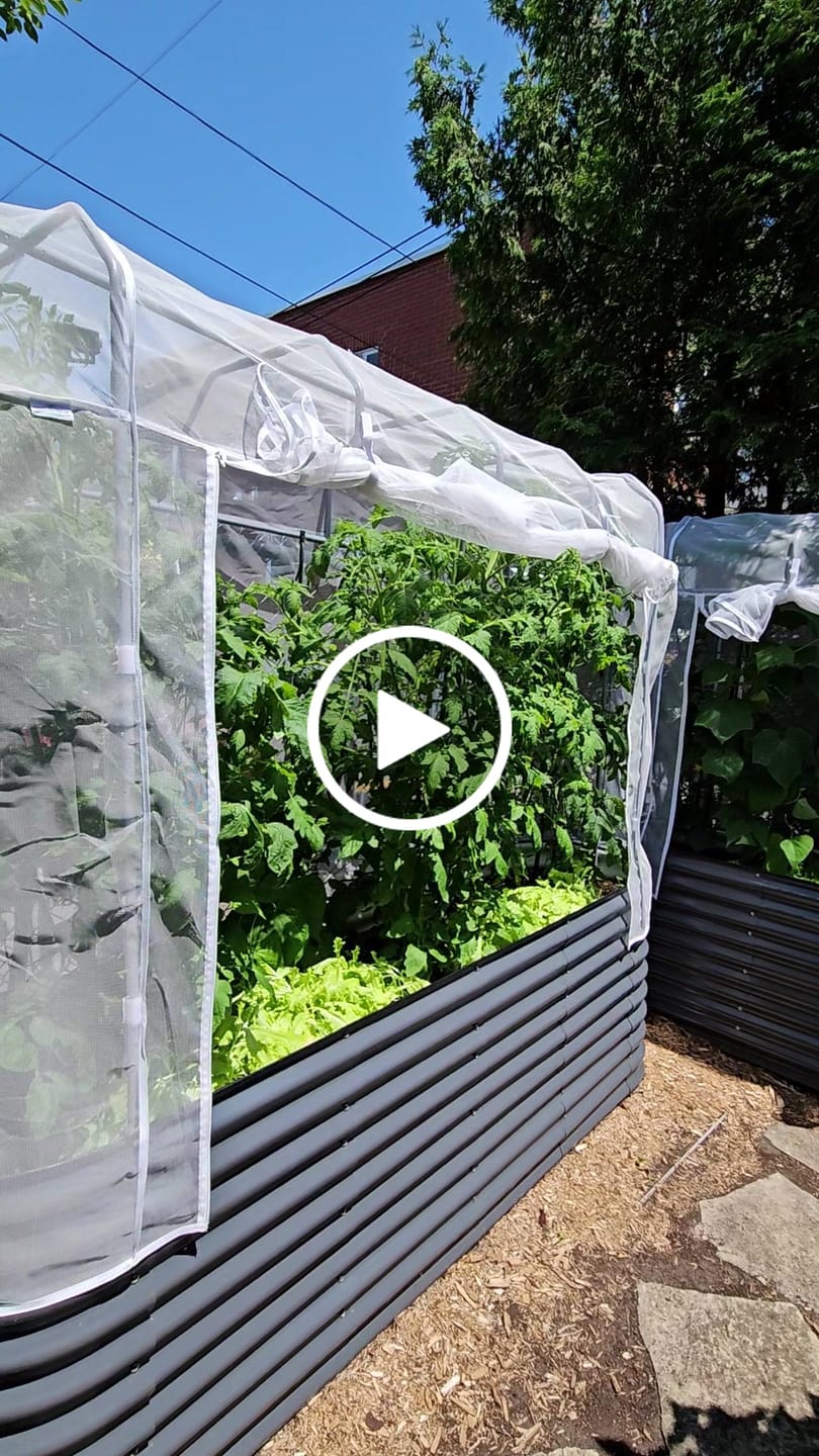 Customer video review of Garden Cover System