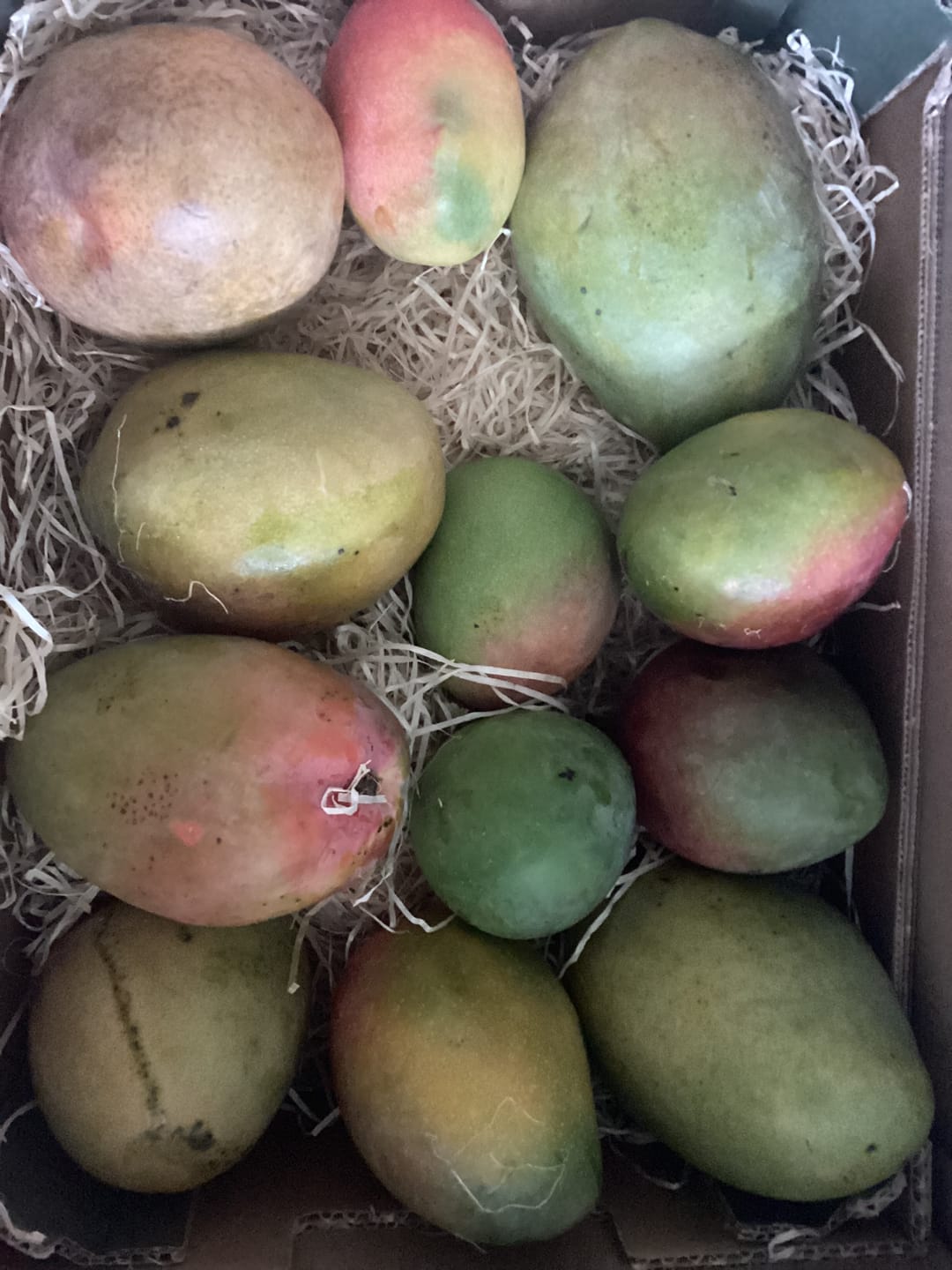Customer photo review of Mango Mix von Juan Retterpreis %