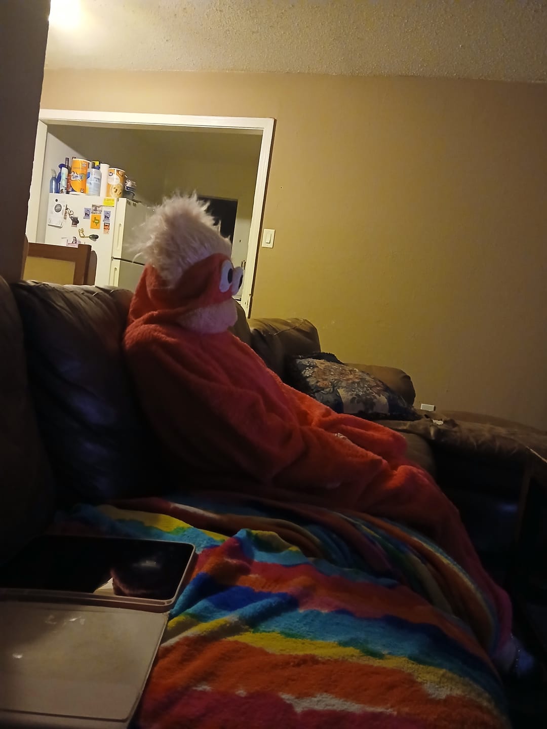 Customer photo review of Snuggo™ Monster Onesie