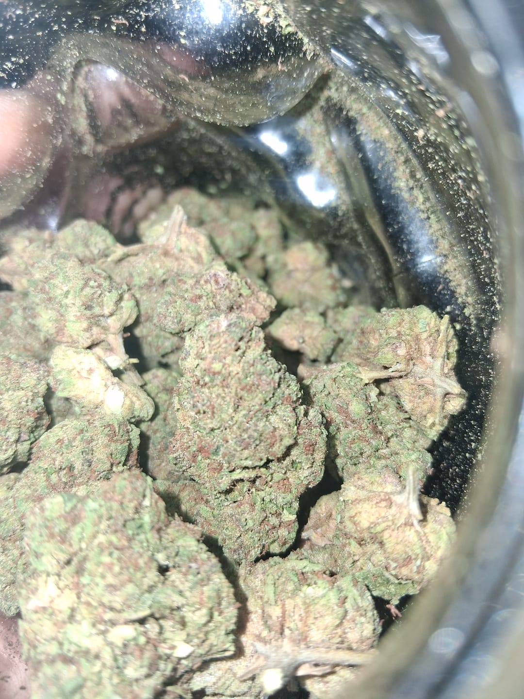 Customer photo review of Cheap THCA Flower Ounce