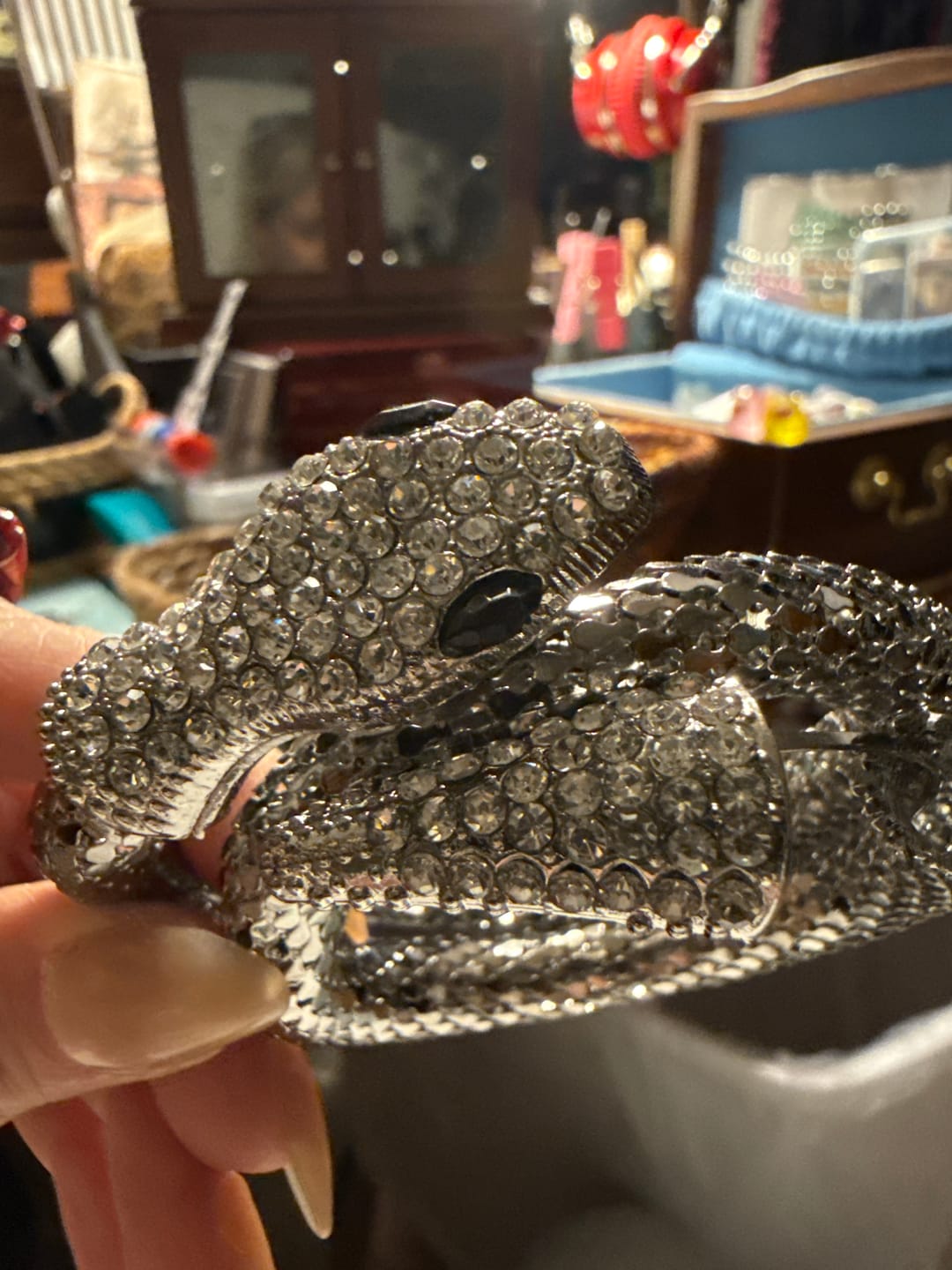 Customer photo review of Mystery Jewelry Jar