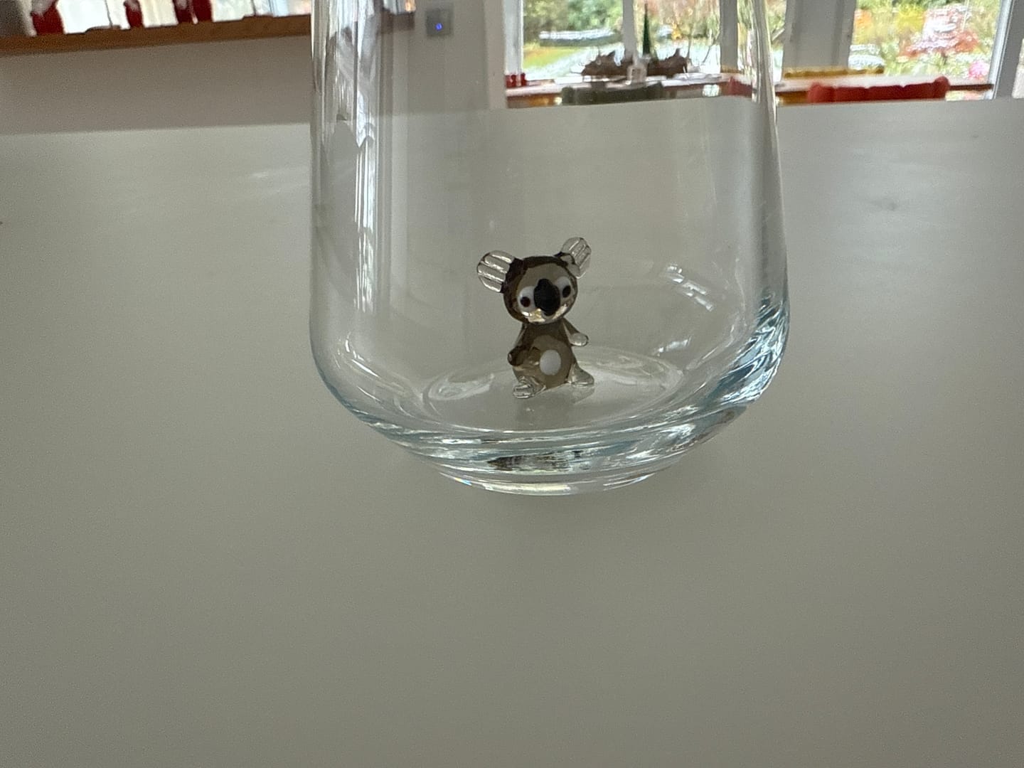 Customer photo review of Koala Glass