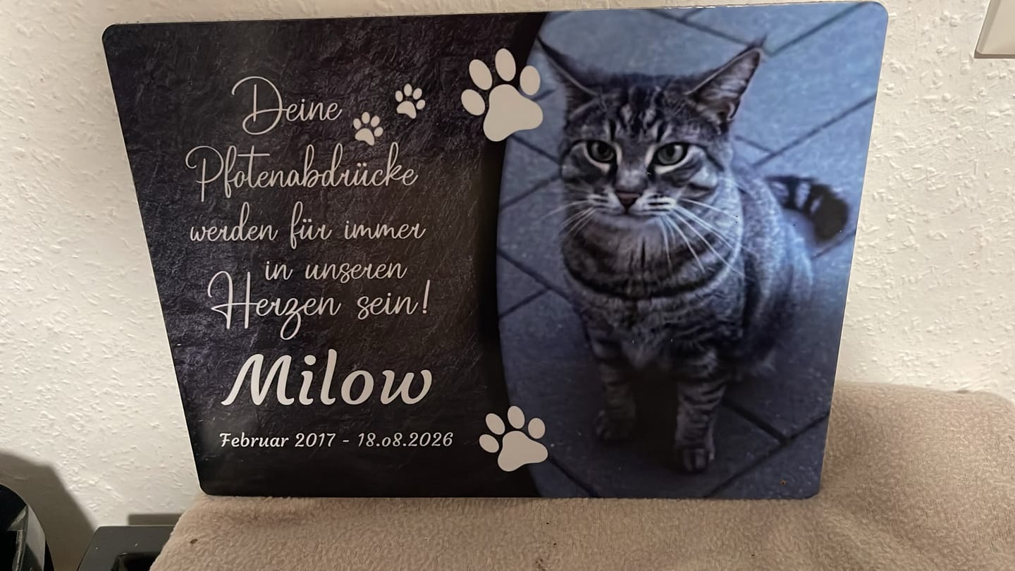 Customer photo review of Katzen Gedenktafel mit Foto & Spruch (UV- & Wetterfest)