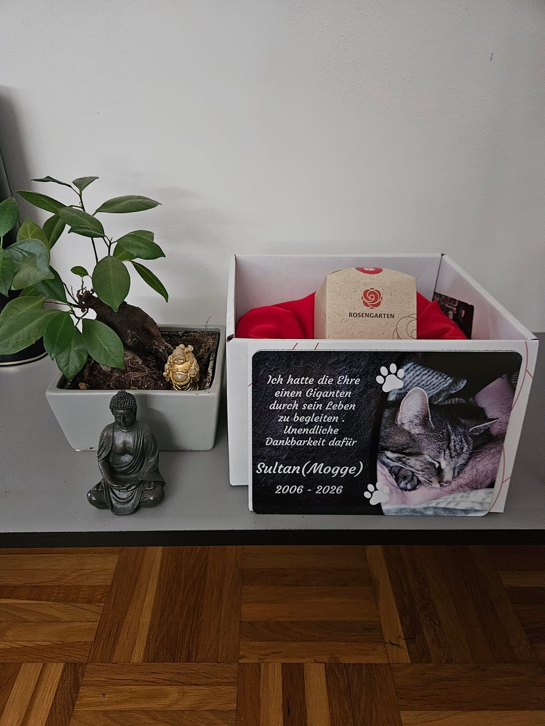 Customer photo review of Katzen Gedenktafel mit Foto & Spruch (UV- & Wetterfest)
