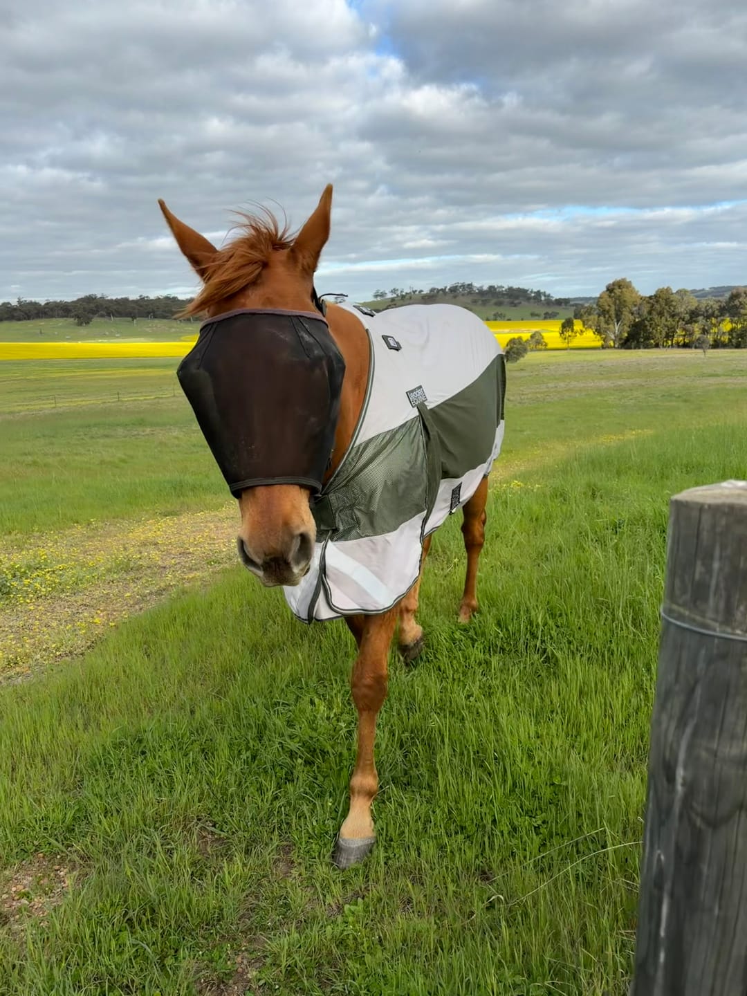 Customer photo review of LE Boxter Hybrid Mack Turnout 0g