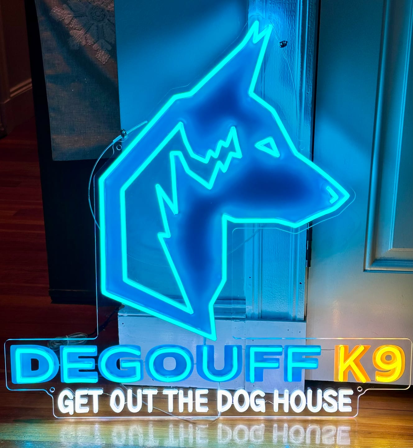 Customer photo review of DEGOUFF K9 | LED Neon Sign