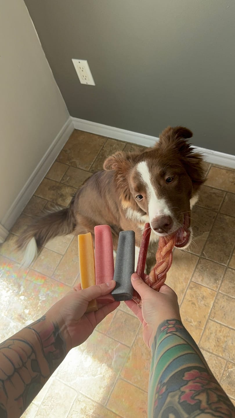 Customer photo review of Blueberry Himalayan Yak Chew (MEDIUM)