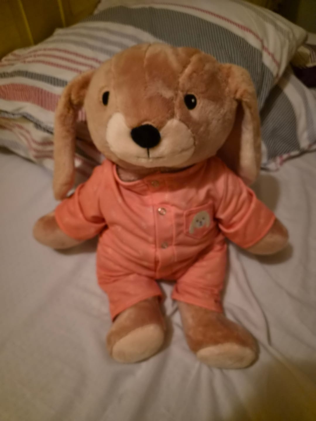 Customer photo review of Lotgenootje Konijn 2kg