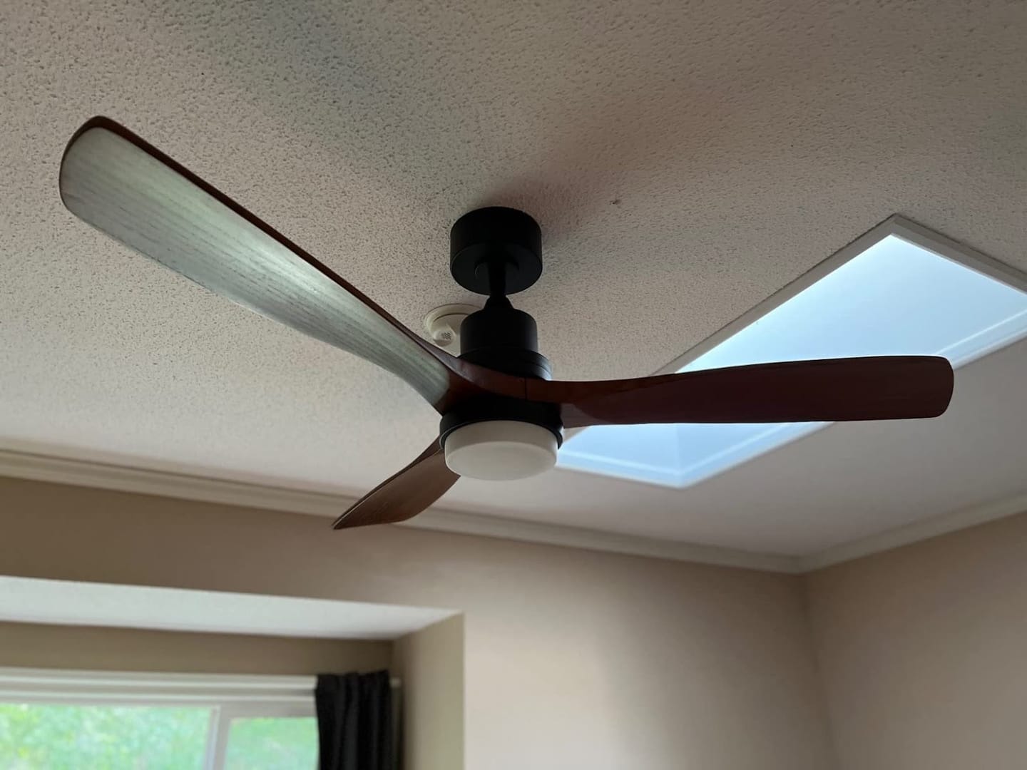 Customer photo review of ODELIA