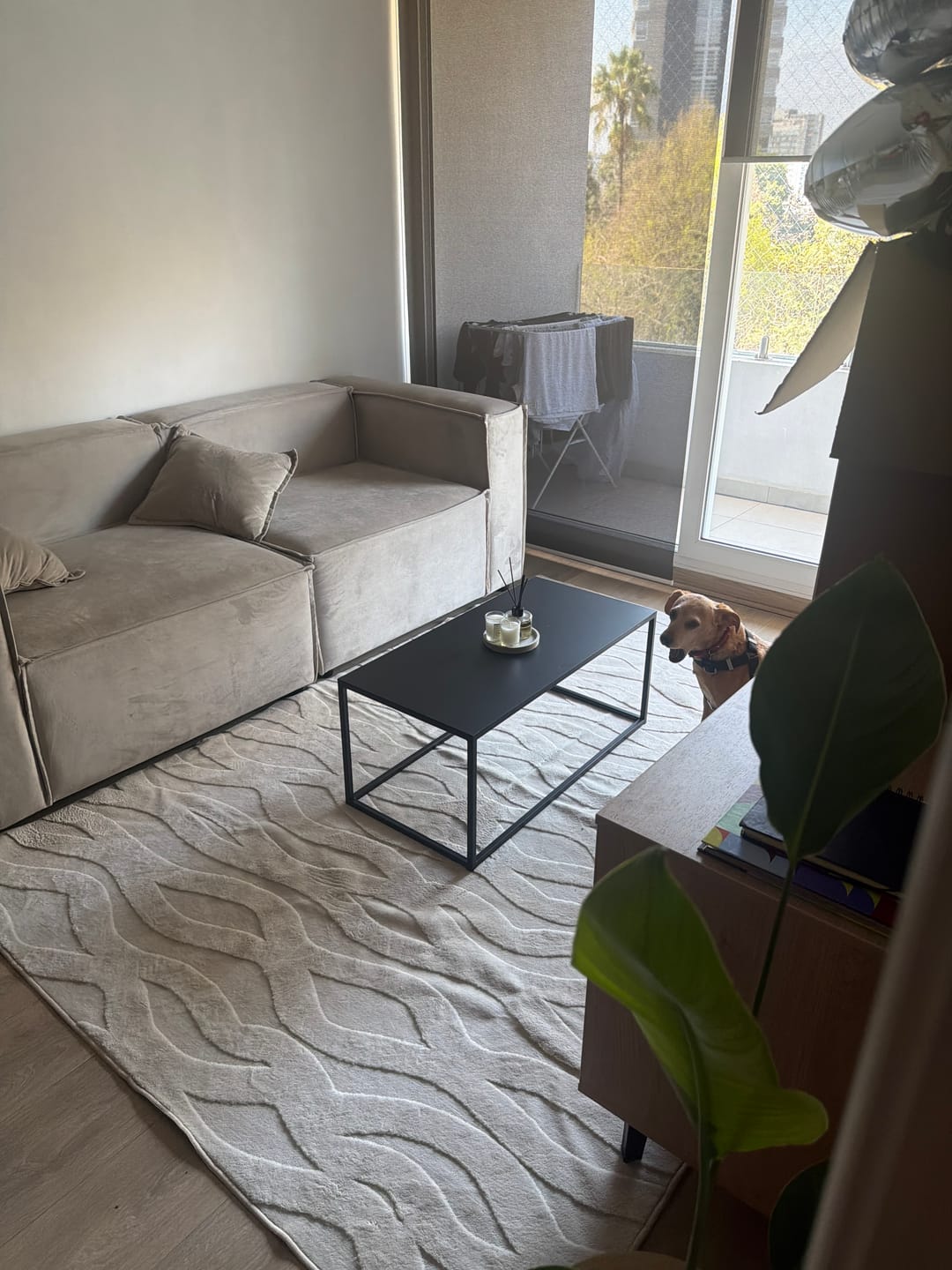 Customer photo review of Mesa de Centro Rectangular Metal Black