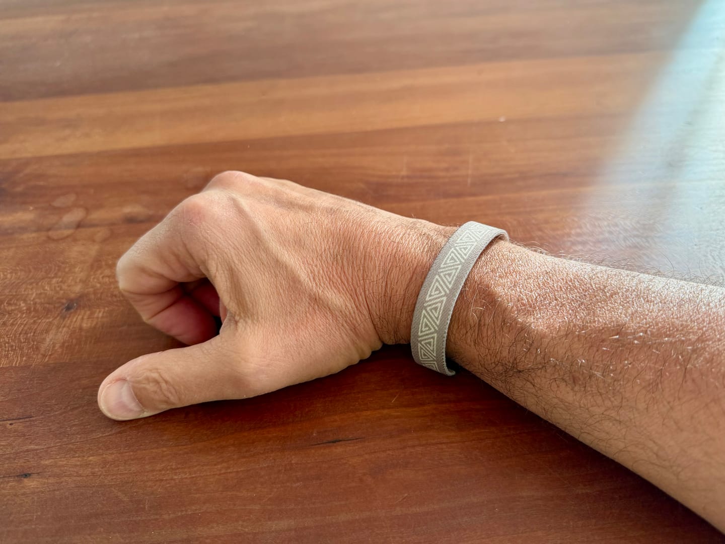 Customer photo review of dune