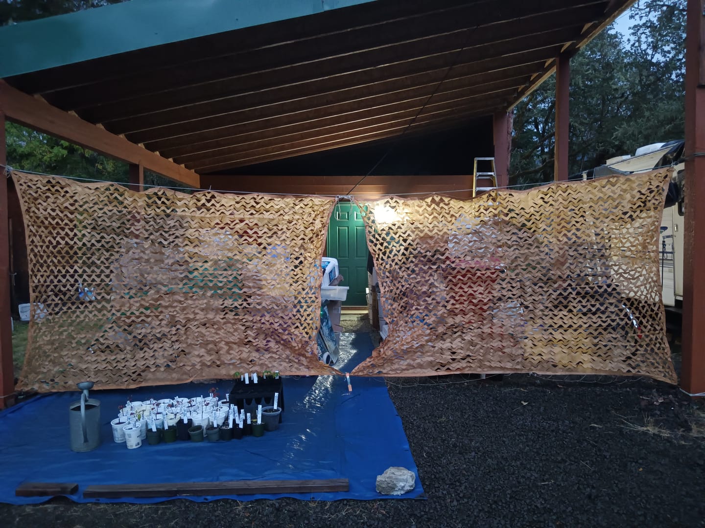 Customer photo review of Desert Camo Netting Sun Shade