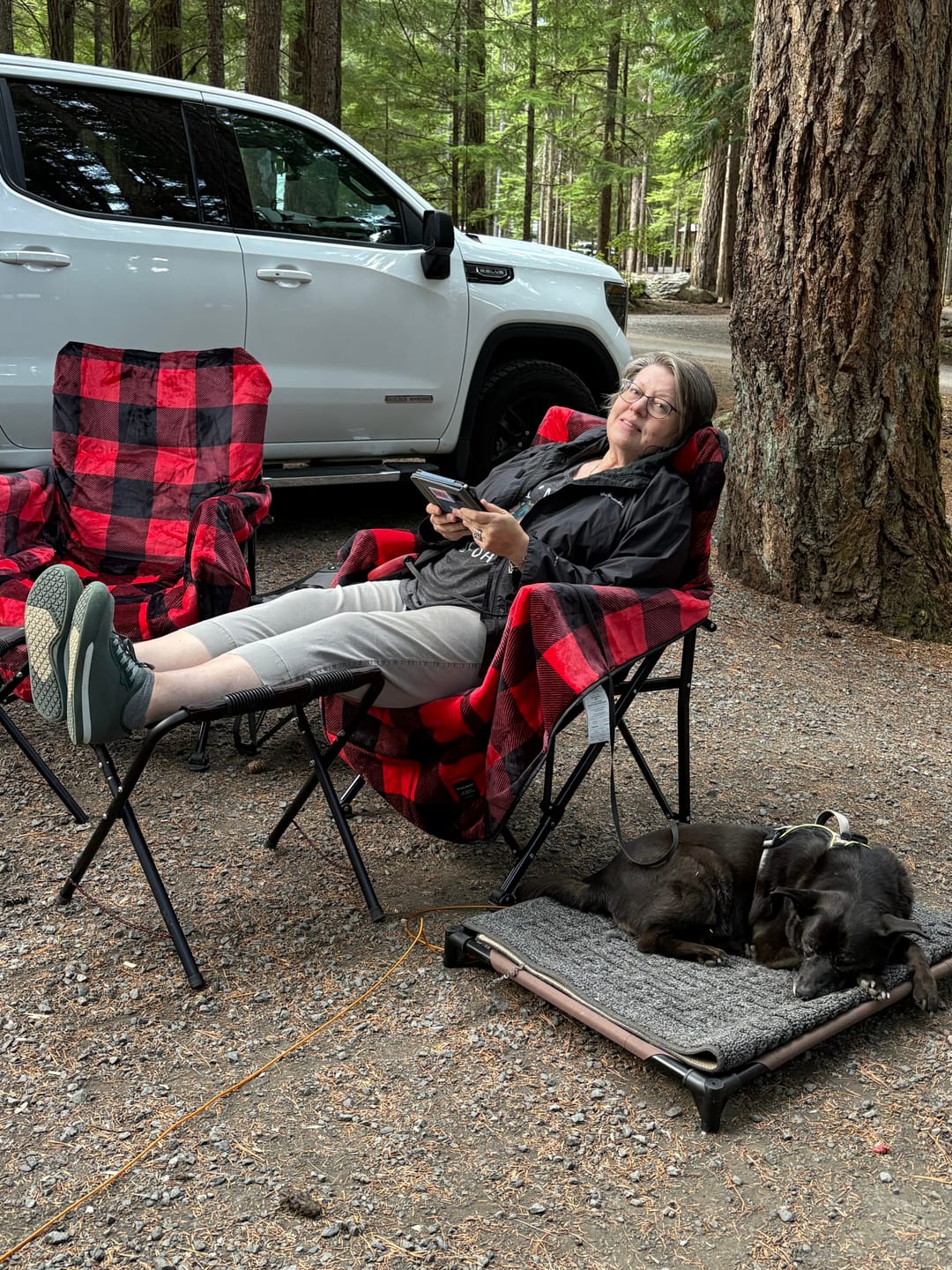 Customer photo review of The Chair Blanket Deluxe