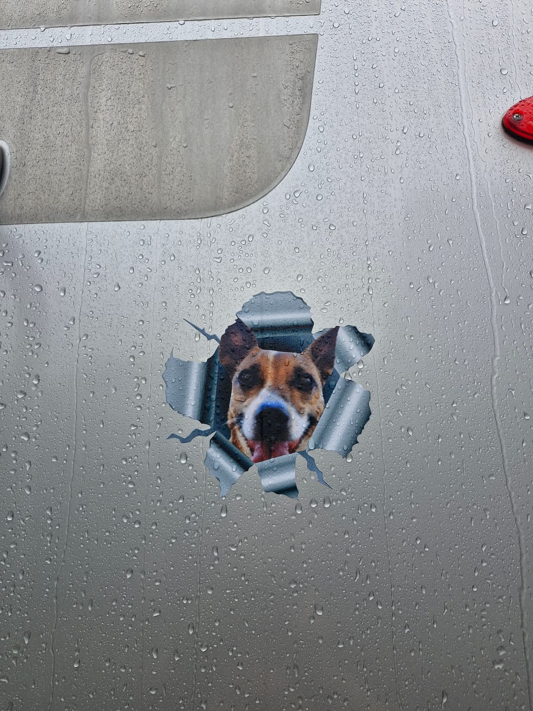 Customer photo review of Spioneren foto - Gepersonaliseerde autosticker