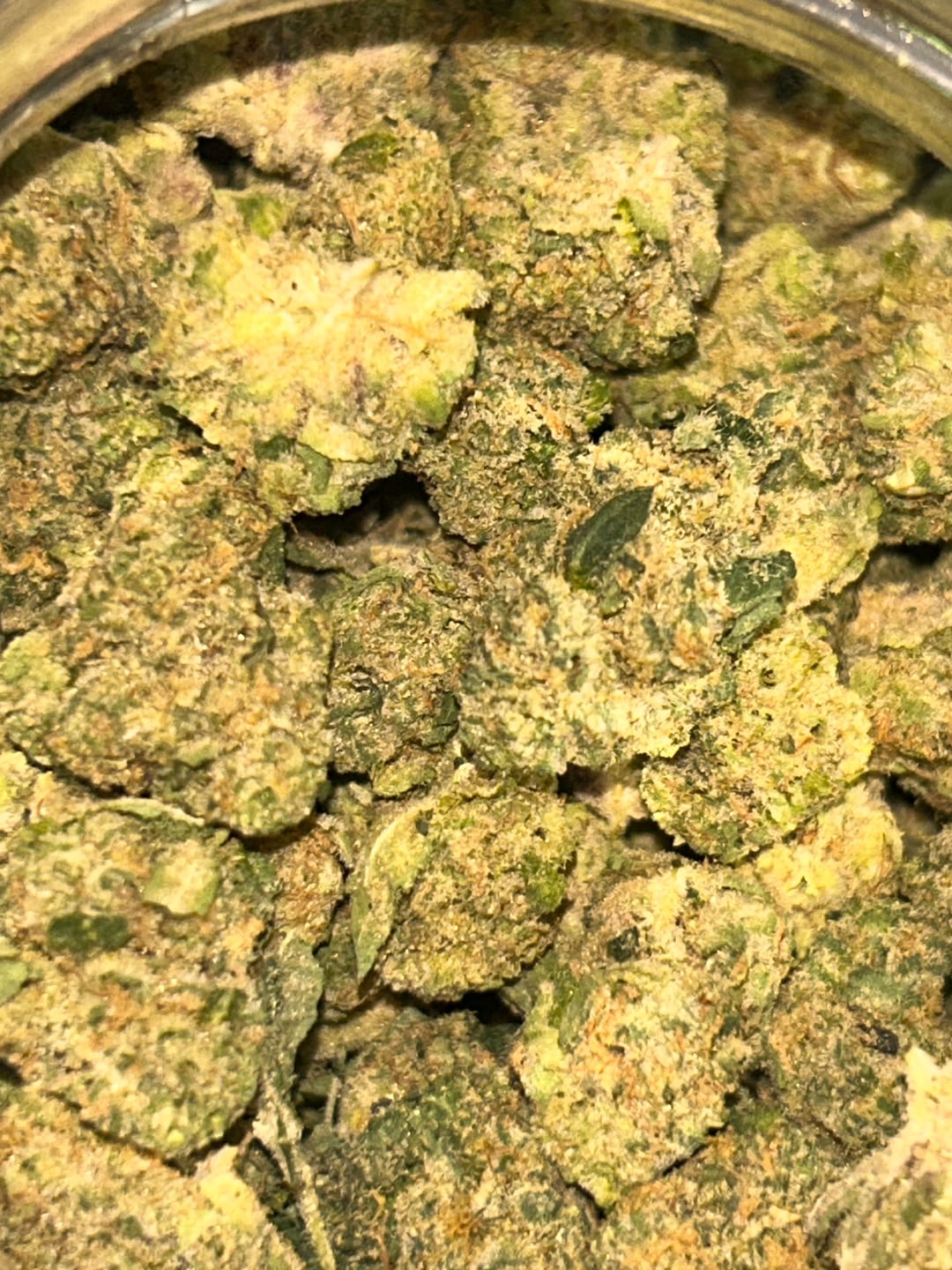 Customer photo review of Biscotti THCA Flower (Budget)