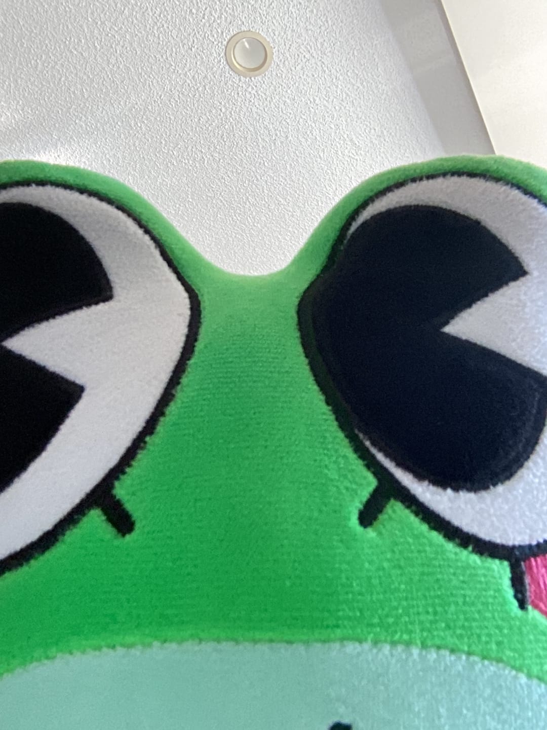 Customer photo review of Ribbit Pendantz Blindbox