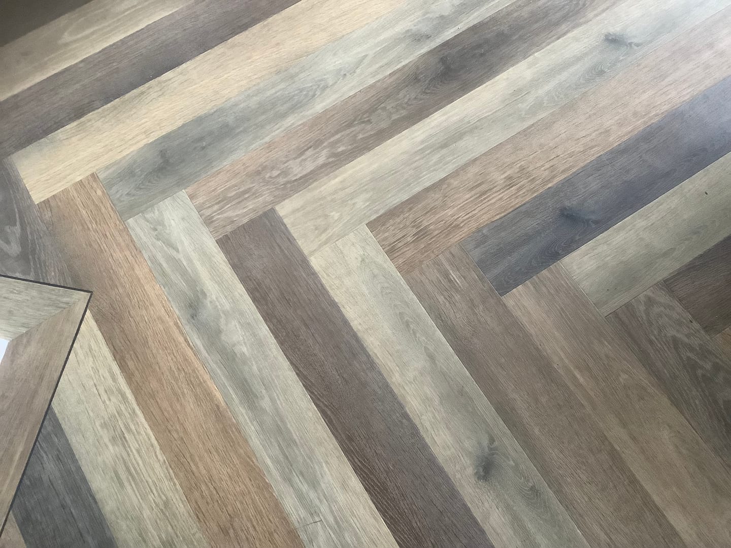 Customer photo review of Probiotic Floor Cleaner Concentrate