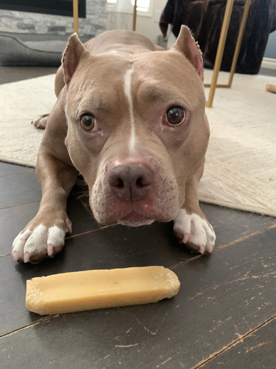 Customer photo review of Himalayan Yak Chew (LARGE)