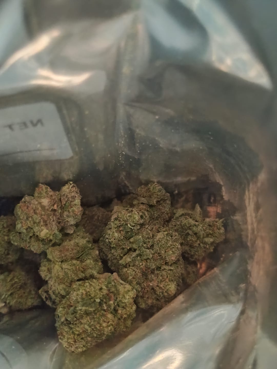 Customer photo review of Blue Diamond Indoor THCA