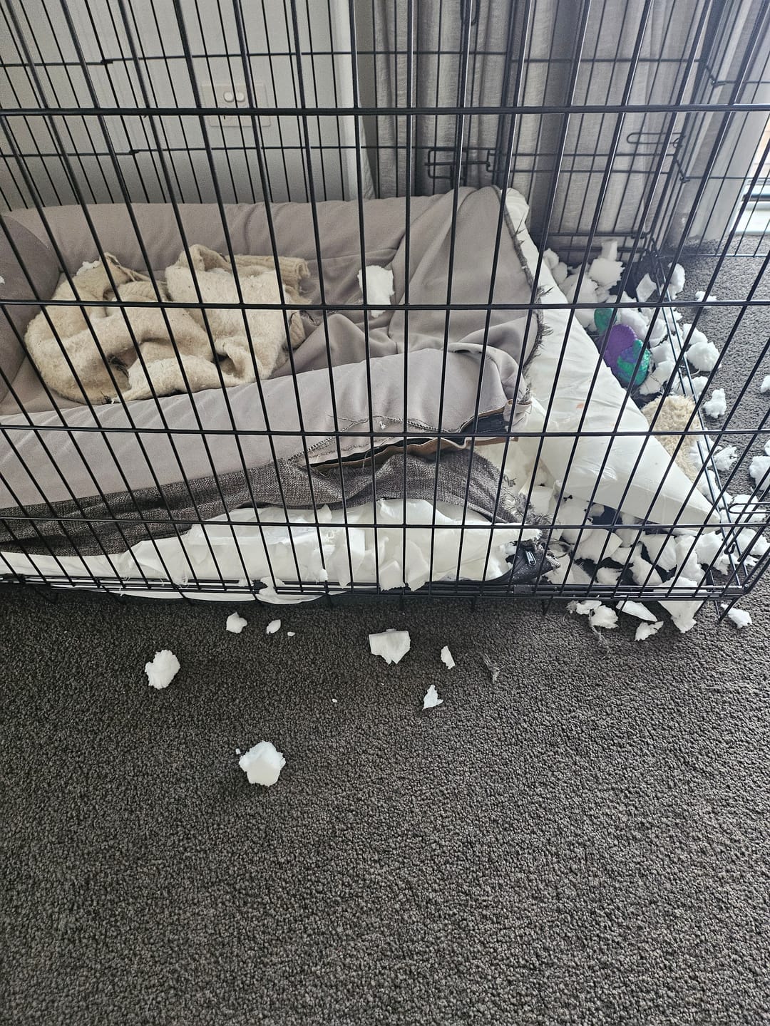 Customer photo review of Orthopaedic Memory Foam Bed