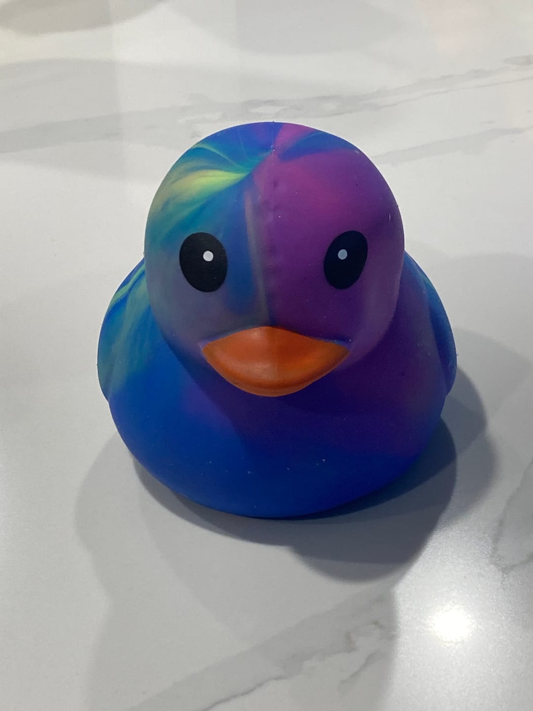 Customer photo review of Rainbow Giant Durable Squishy Duck
