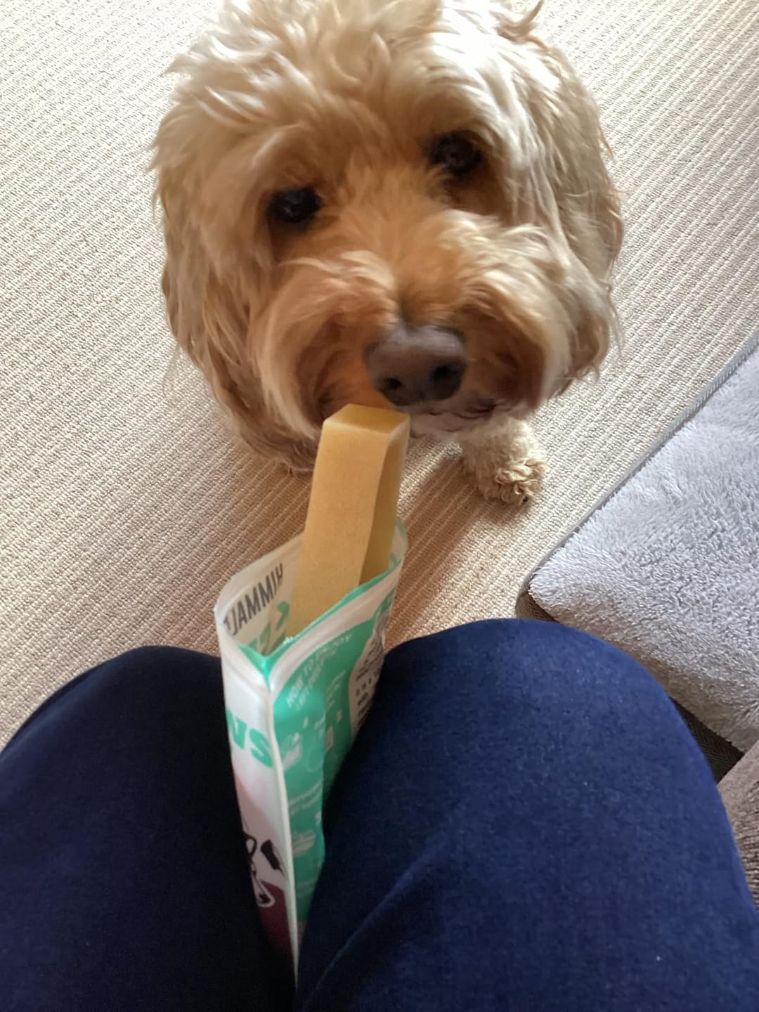 Customer photo review of Himmaleh Yak Chews
