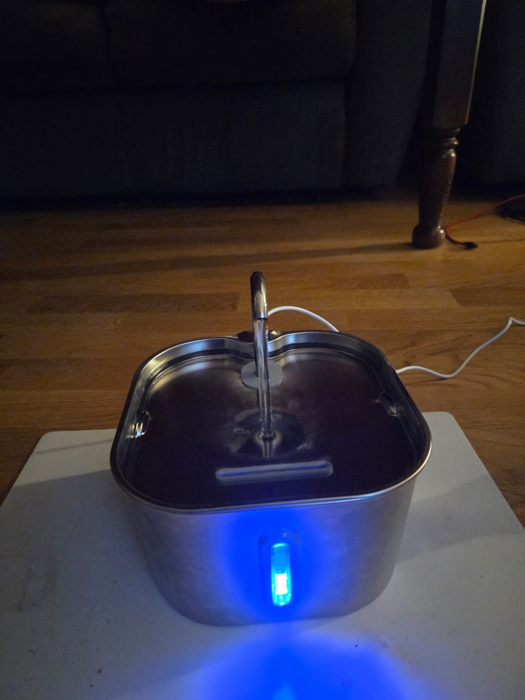 Customer photo review of VitaCat Dricksfontän - 2.2L