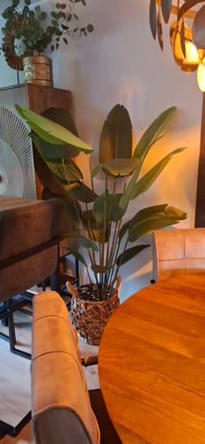 Customer photo review of Kunst Bananenplant 180cm