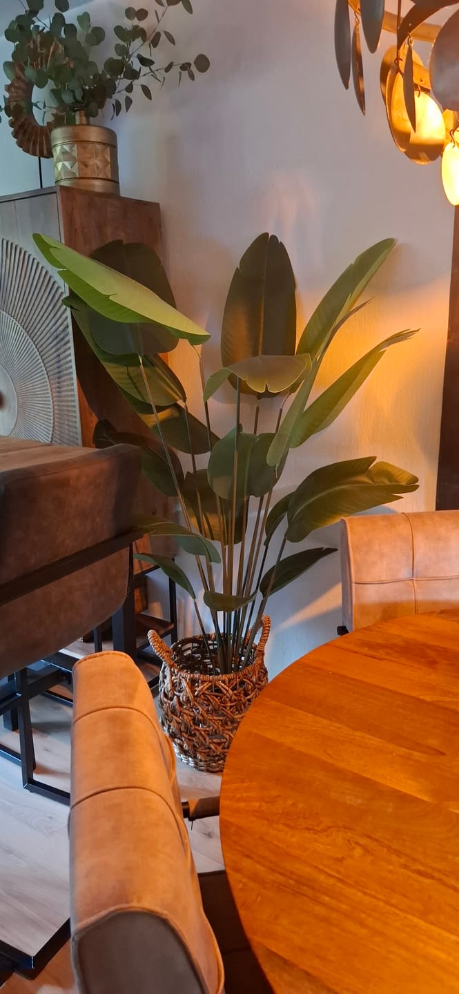 Customer photo review of Kunst Bananenplant 180cm