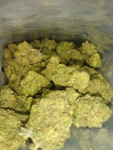Customer photo review of THCA Queen