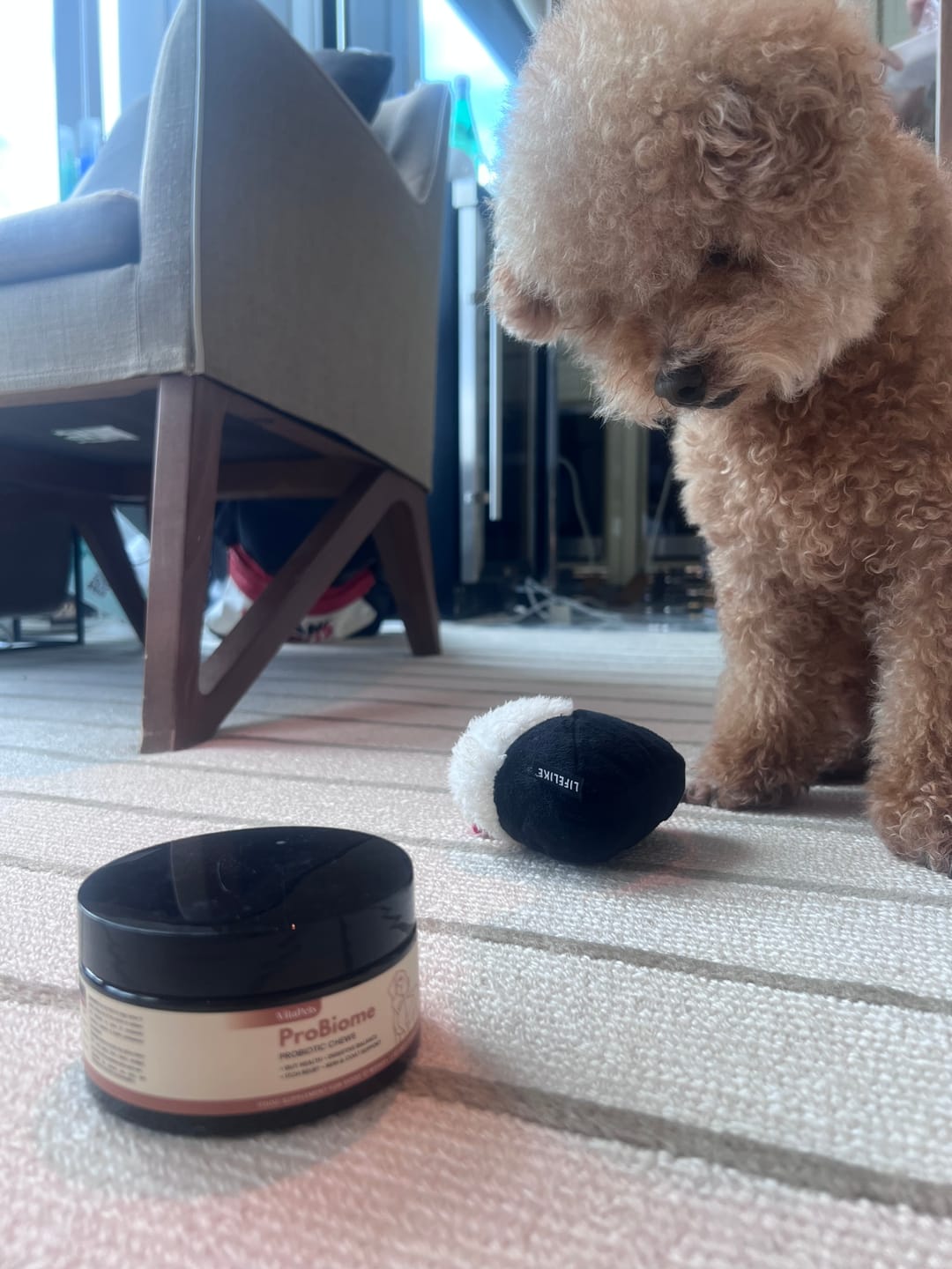 Customer photo review of ProBiome™狗狗益生菌軟粒