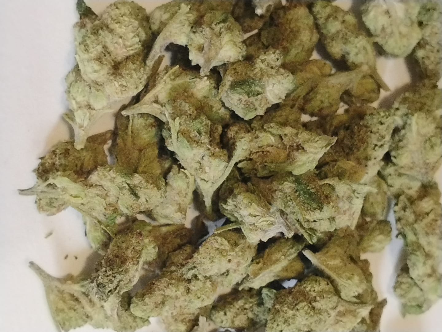 Customer photo review of Papaya Punch (Indoor Smalls) - THCA Flower