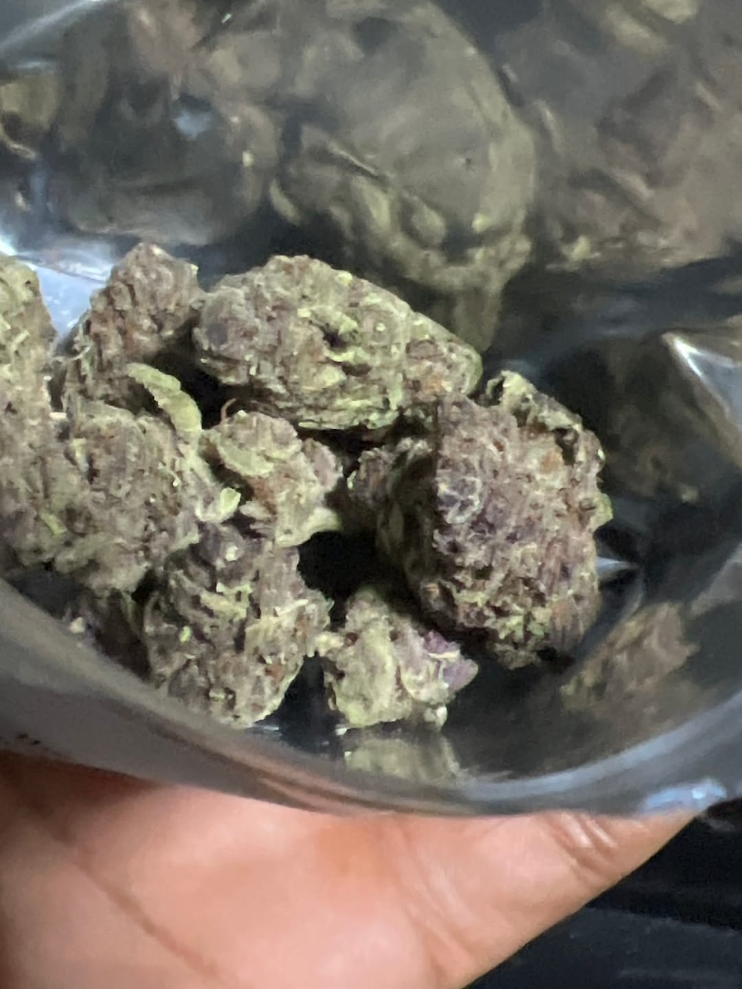 Customer photo review of Tropicana Cherry THCA Flower