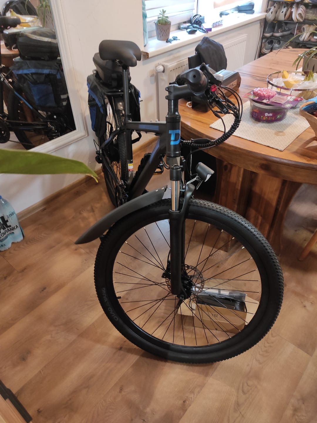 Customer photo review of DUOTTS C29 Rower Elektryczny