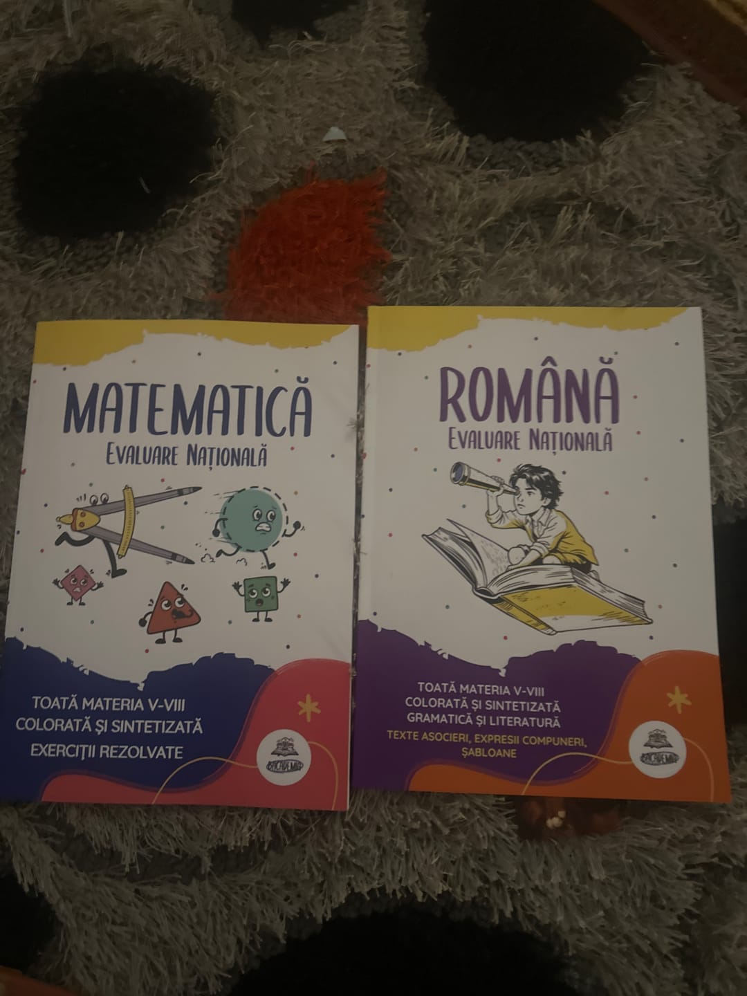 Customer photo review of Pachet Evaluare Națională (Română + Matematică) Bacademia