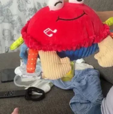 Customer photo review of Musical Dancing Crab Toy
