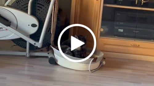Kundenbewertung mit Video zu Fellnest Katzenkorb