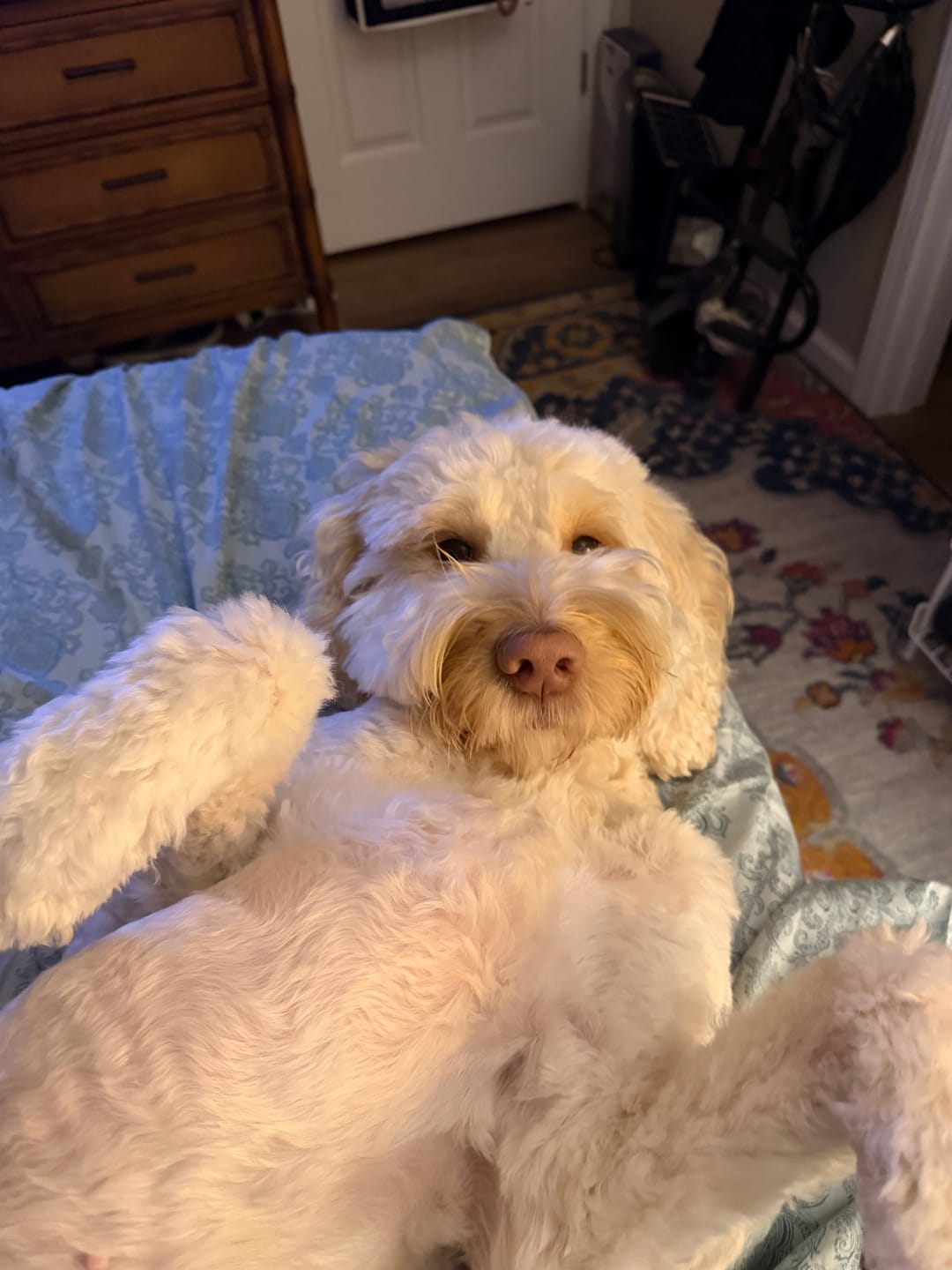 Customer photo review of Himalayan Yak Puffs