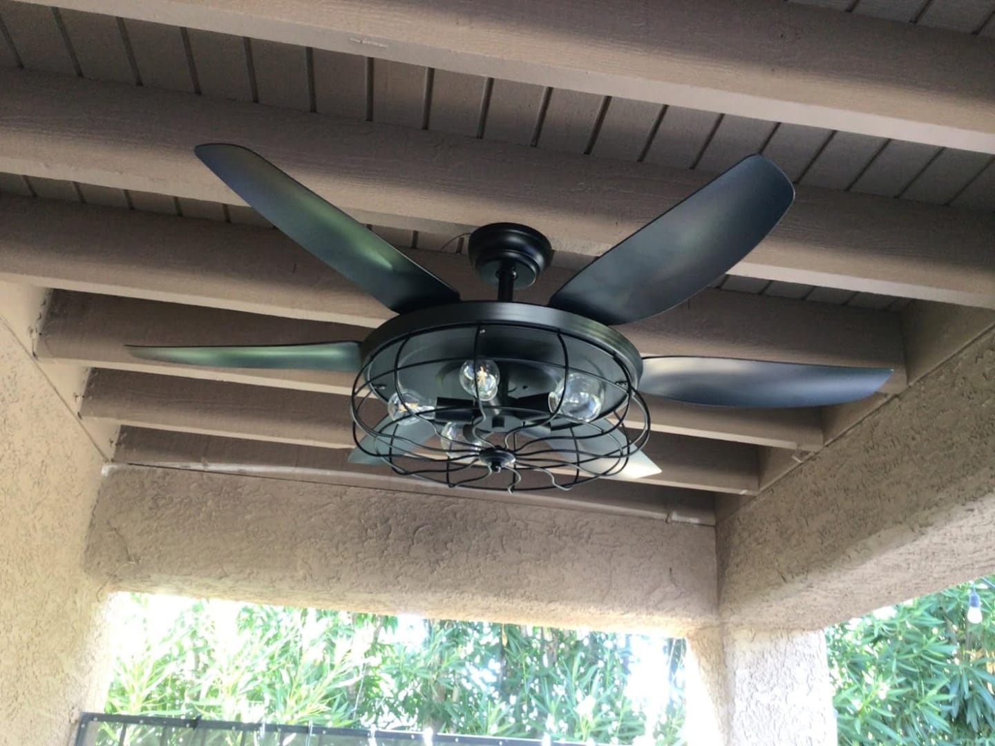 Customer photo review of BRONTE