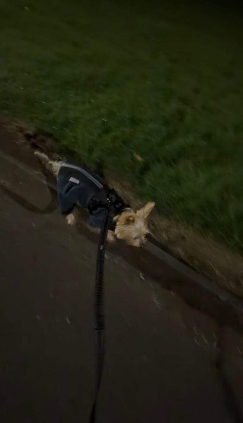 Customer photo review of Handsfree Lead - Walkies Ready® Black (New Clip)