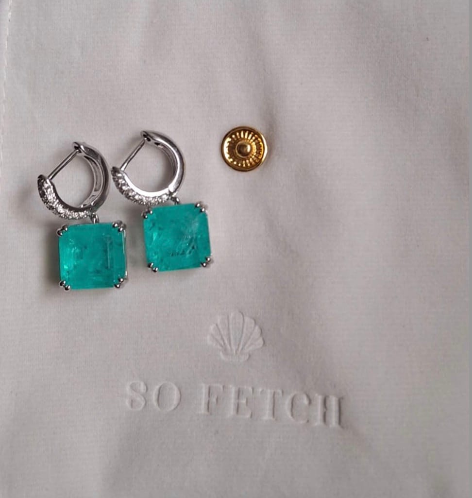 Customer photo review of The Zenobia Earrings