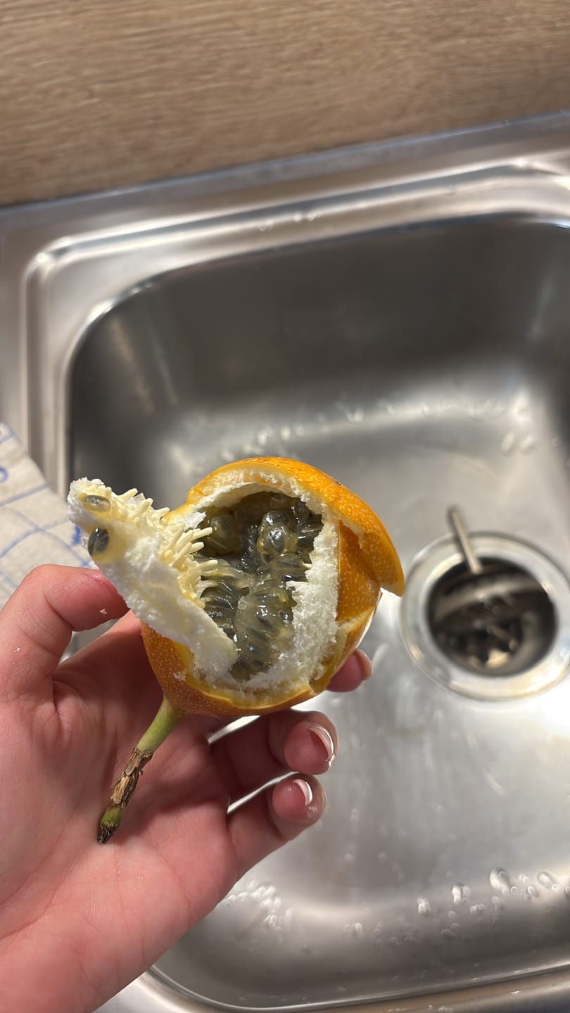 Customer photo review of Süße Granadilla naturbelassen