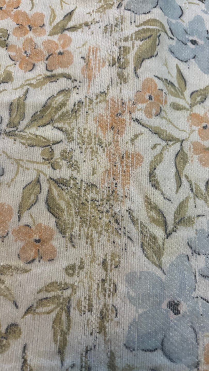 Customer photo review of Eloise Floral Blue Machine Washable Rug