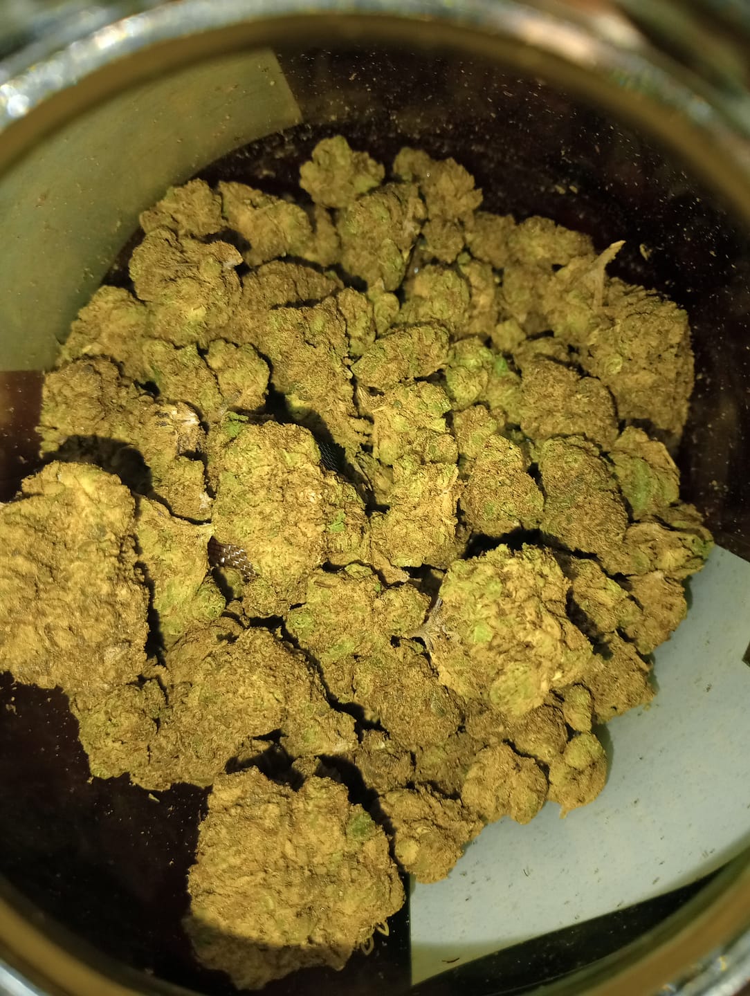 Customer photo review of Toadlato THCA Flower