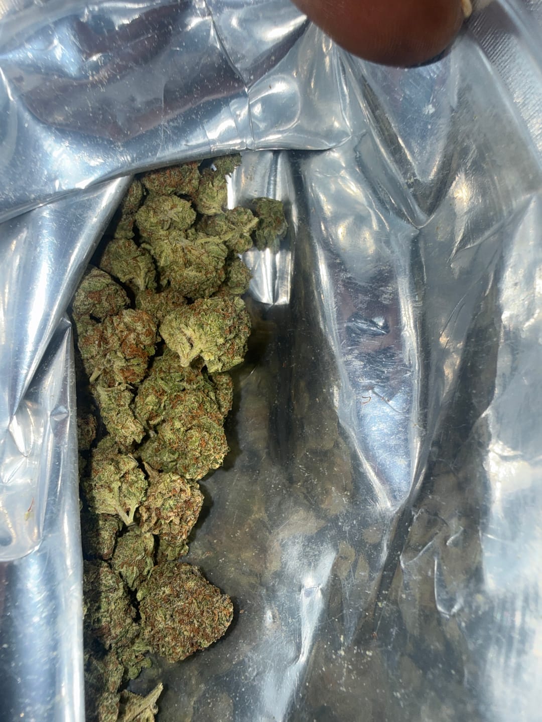 Customer photo review of THCA Queen