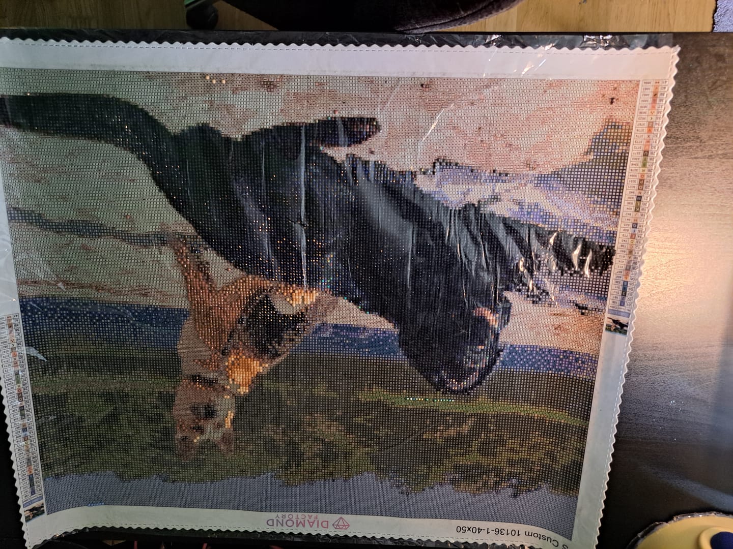 Customer photo review of Custom Diamond Painting Kit