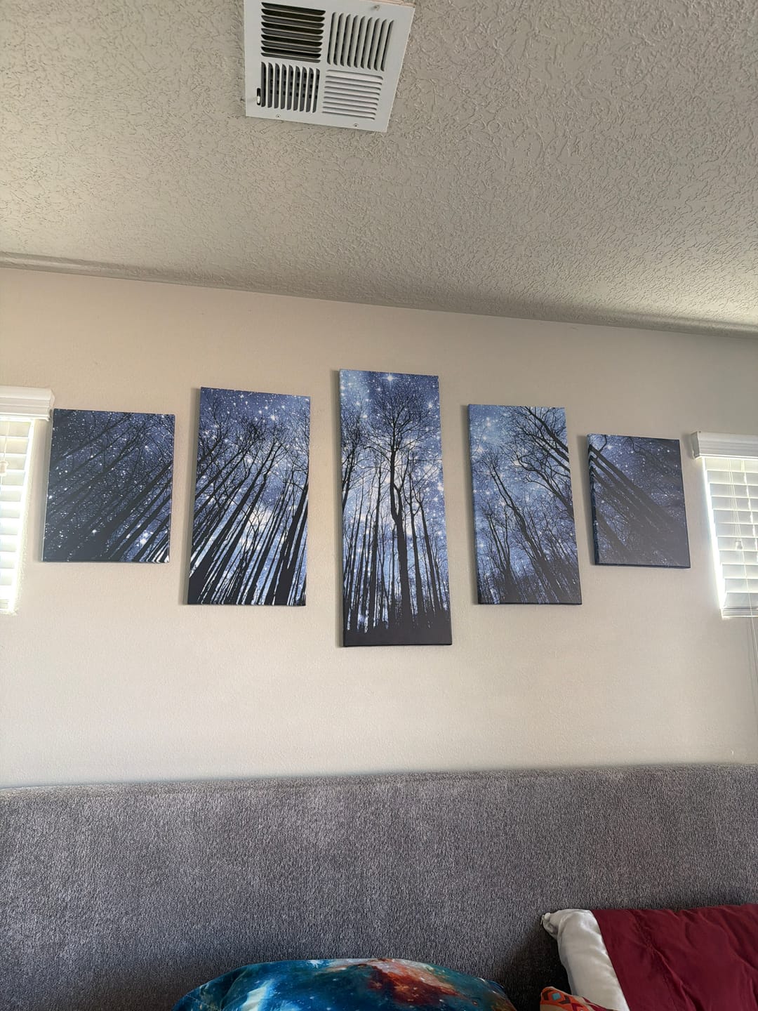 Customer photo review of Starry Night in the Woods